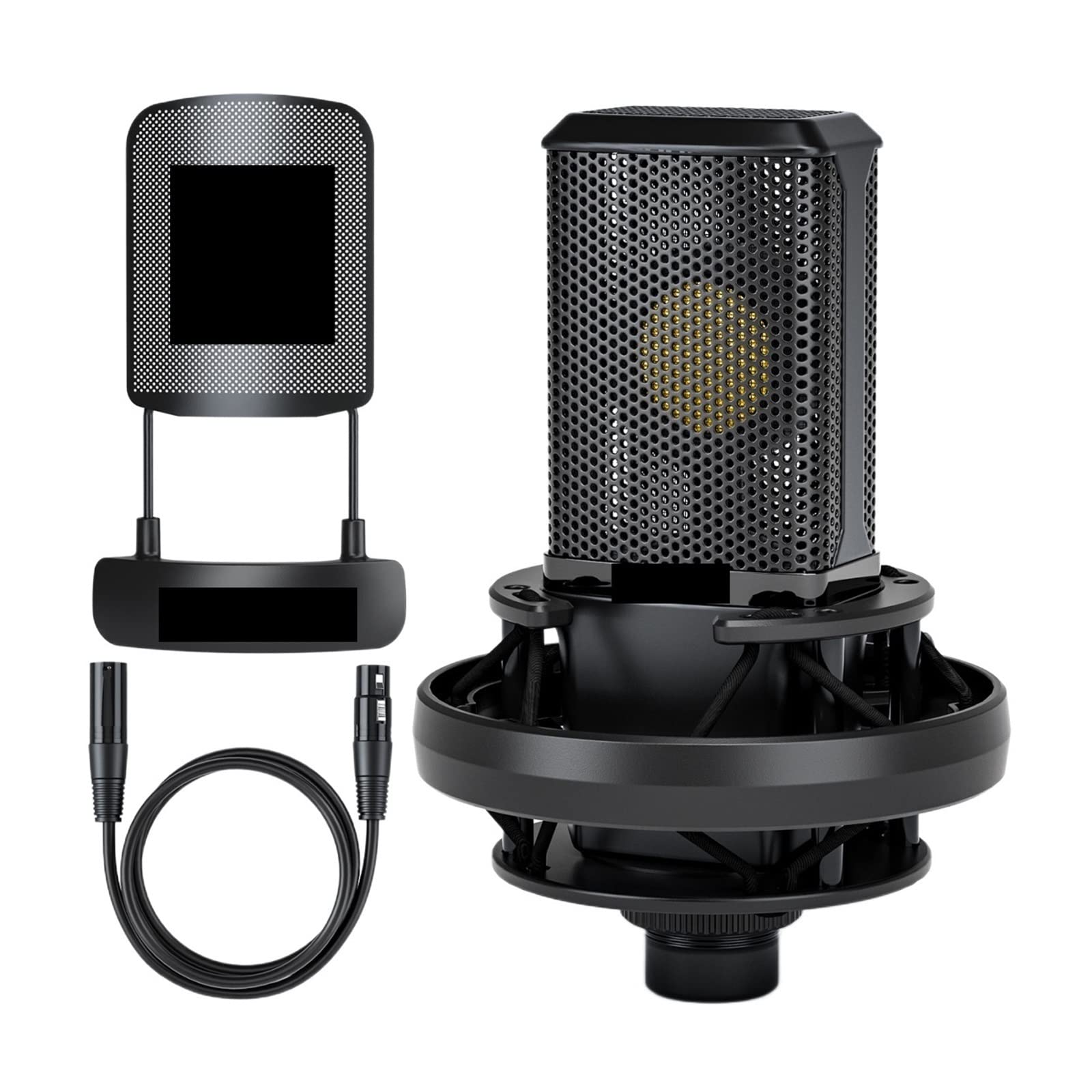 Microphone de studio à condensateur PM500 en métal avec grand diaphragme 34mm pour chant