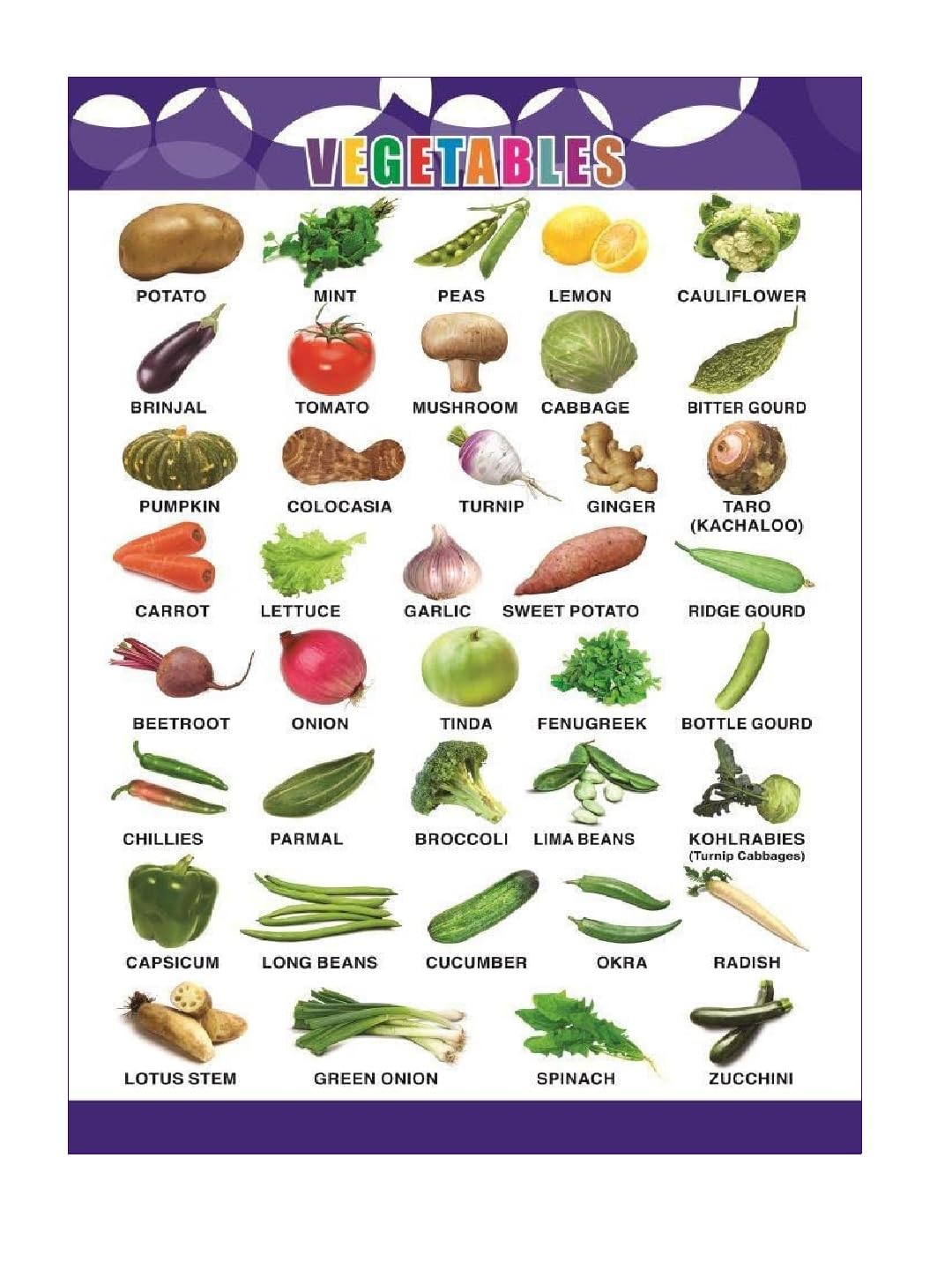 Eoi Marketing Vegetable Wall Charts - Extremely Usefull For Growing Kids | Laminated Chart |Paper Size (13 * 19 Inch) | Paper Print (Rolled With Safety Tube) Paper Print (19 Inch X 13 Inch)-image-20