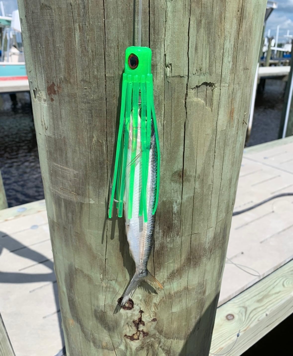 (6 pezzi) Saltwater Squid Trolling Lure Making & Accessory kit. Tuna Wahoo Dolphin Mahi Esche da pesca. Crea il tuo personalizzato King Sackerel rig, Trolling Daisy Chains, Ballyhoo Rigs, Teasers e
