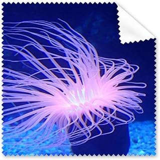 Ocean Blue Jellyfish Science Nature Cleaning Cloth Phone Screen Glasses Cleaner 5pcs
