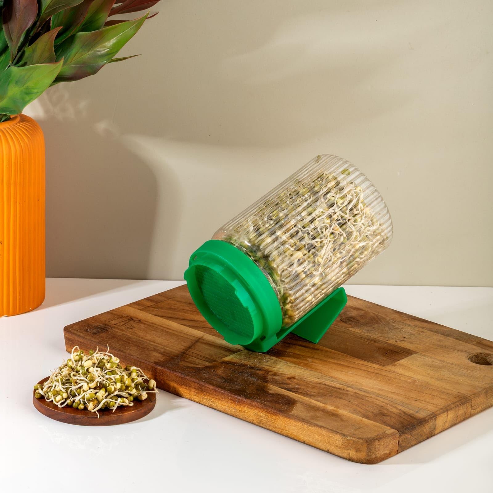 Clazkit Sprouts Maker Jar – Durable & Reusable Sprouter for All Seeds and Beans, BPA-Free with 232-Hole Mesh Lid for Airflow, Odor-Free, Easy Drainage, and Hygienic – Green — Amazon image 4