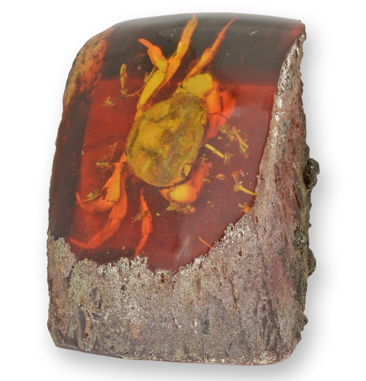 Künstliches Bernstein-Fossil Krebs Krabbe Replikat Retro Design Dekoration