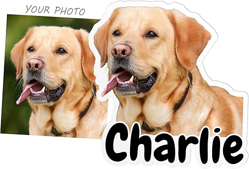 Adhesivo personalizado para fotos de mascotas, personaliza tu propia mascota, perro, gato, foto, texto, imágenes, vinilo personalizable KissCut,