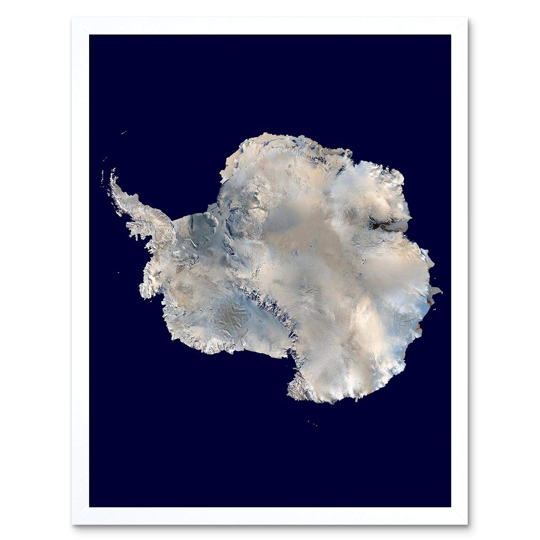 Wee Blue Coo Photo Antarctica Continent Art Print Framed Poster Wall Decor 12X16 Inch