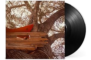 Waiting To Spill [LP] by The Backseat Lovers