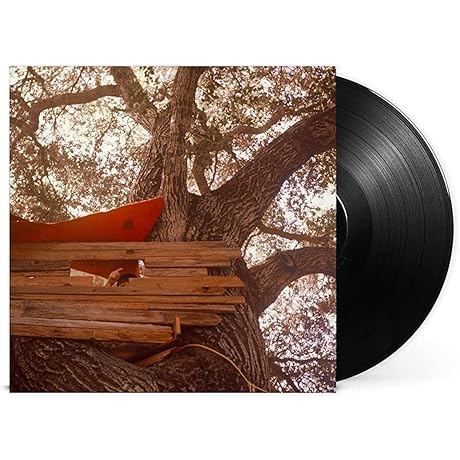 Waiting To Spill [LP] by The Backseat Lovers