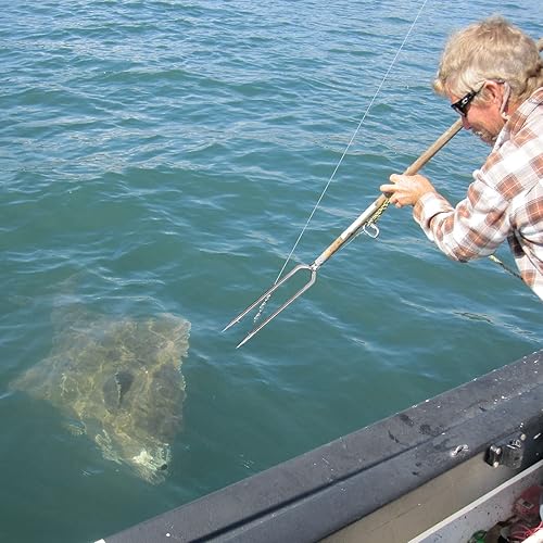 Miniatura 3 de EVTSCAN 4 lanza de pesca de acero inoxidable con 2 puntas, gancho roscado de 0.315 pulgadas para aparejos de pesca al aire libre