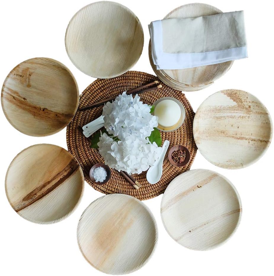 Thynk Palm Leaf Plates - 9 Inch Round - All Natural 100% Biodegradable and Compostable - Disposable Dinnerware - Perfect Party Plates - 20 Count