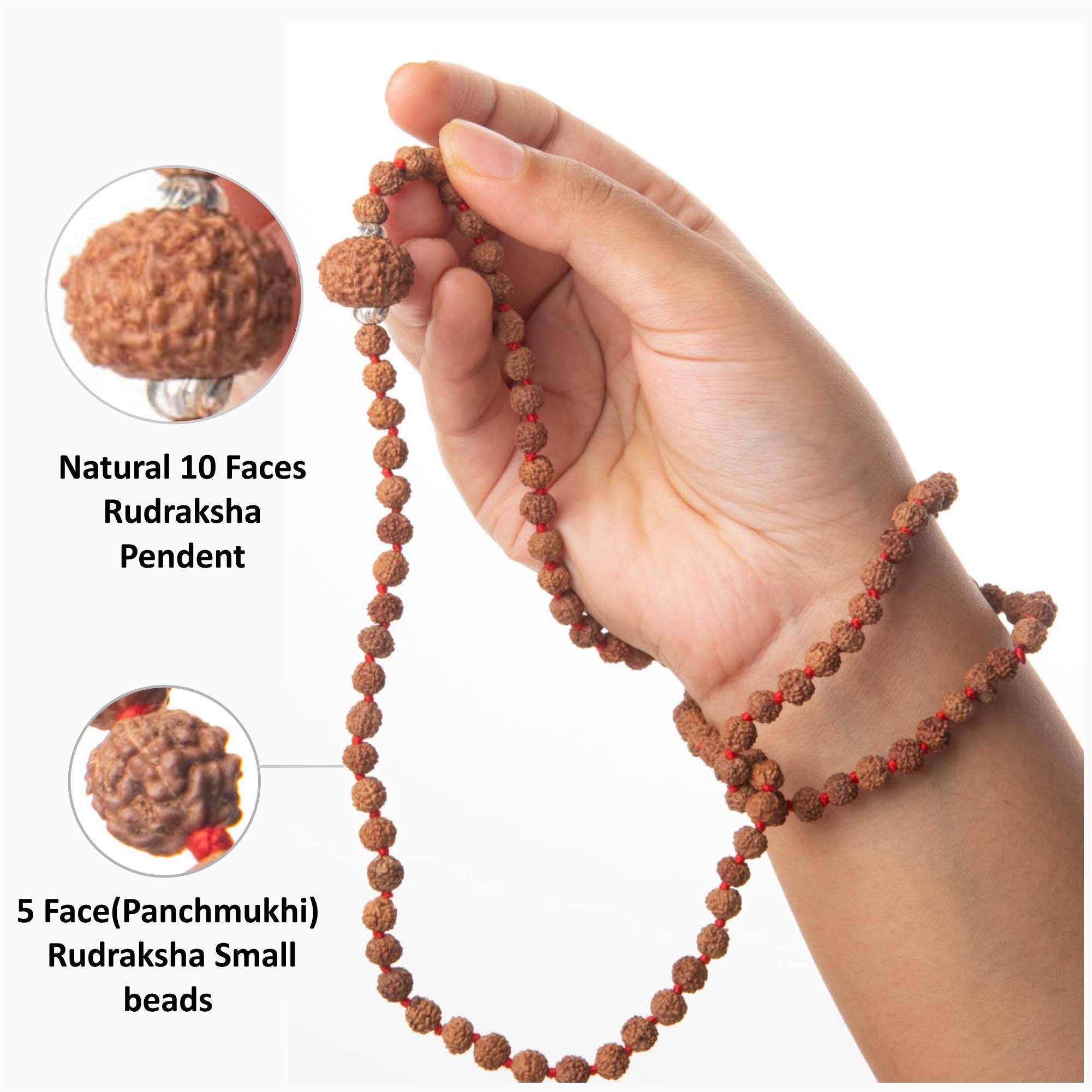 Wonder Care - Original Rudraksha Bead/Rudraksha Bead Natural Rudra Religious Rosary Bead…, 10 Mukhi - Image 2