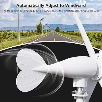 Wind Turbine Generator, 800W 6 Blade Small Wind Turbine for Industrial Energy Equipment(12V/24V),Dynamo,24V
