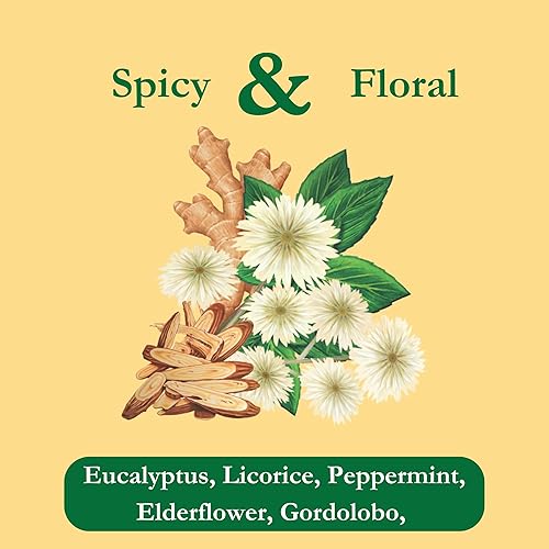 Vista 18 de Tadin Herb & Tea Co. Mezcla de té de Jengibre, sin cafeína, 24 bolsitas de té, Paquete de 6