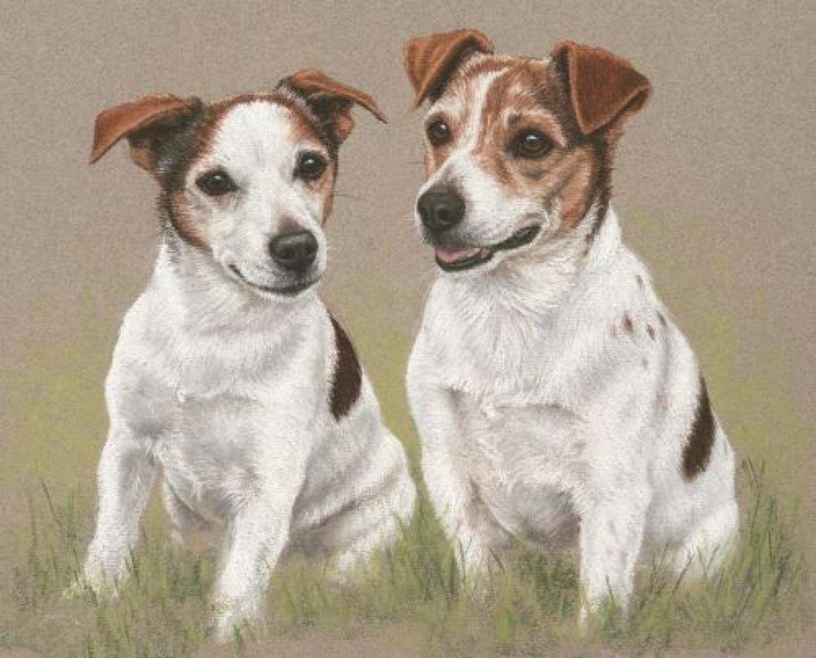 Zhyaunz 5D Diy Diamond Painting Kits Jack Russell Terrier Dog Embroidery Mosaic Rhinestone Paint By Numbers Kits For Adult 40X50cm