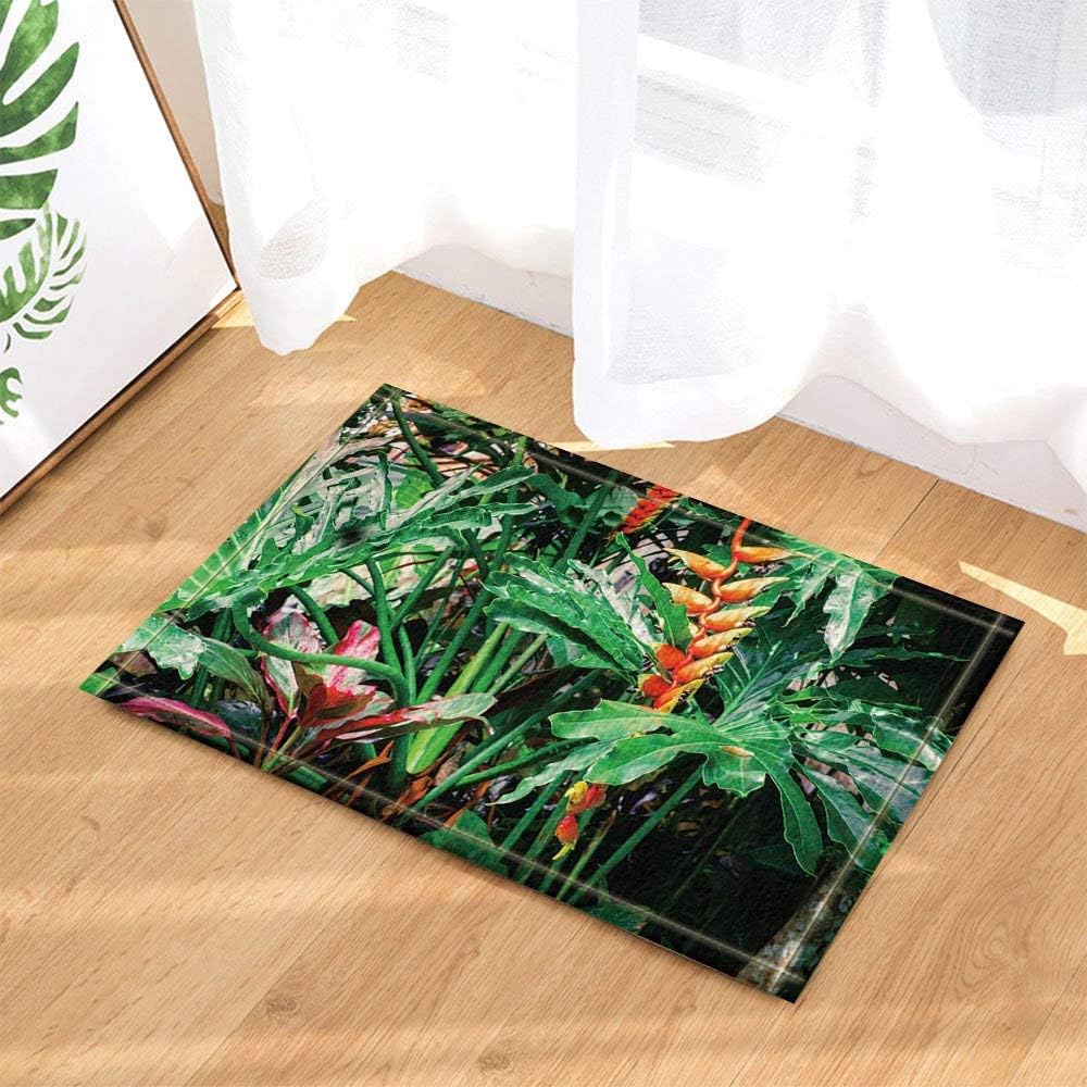 GoHEBE Amazing Tropical Plants and Flowers in Fantasy Rainforest Decor Bath Rugs Non-Slip Doormat Floor Entryways Outdoor Indoor Front Door Mat Kids Bath Mat 15.7x23.6in Bathroom Accessories