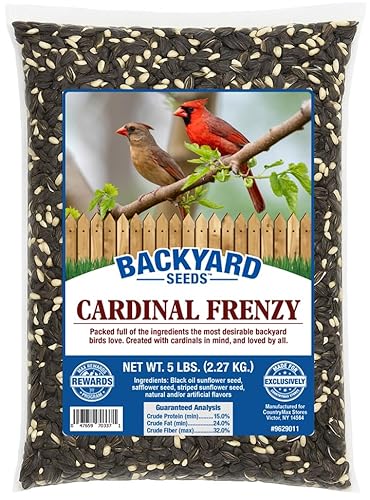 Backyard Seeds Cardinal Frenzy Bird Seed Mix - 5 lb - Premium Black Oil Sunflower & Safflower Blend - High-Energy Wild Bird Food for Cardinals, Finches, Grosbeaks - Resealable Bag (5 Pounds)