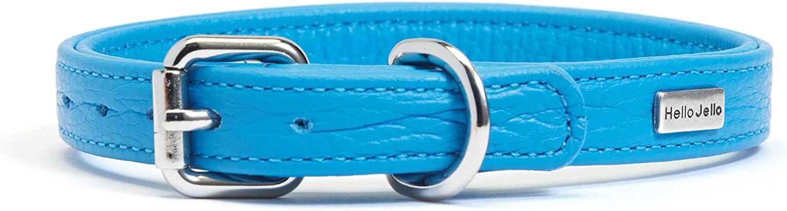 HelloJello Genuine Leather Pet Collar - Colourful Stylish Genuine Leather Dog Collar (XS, Blue)