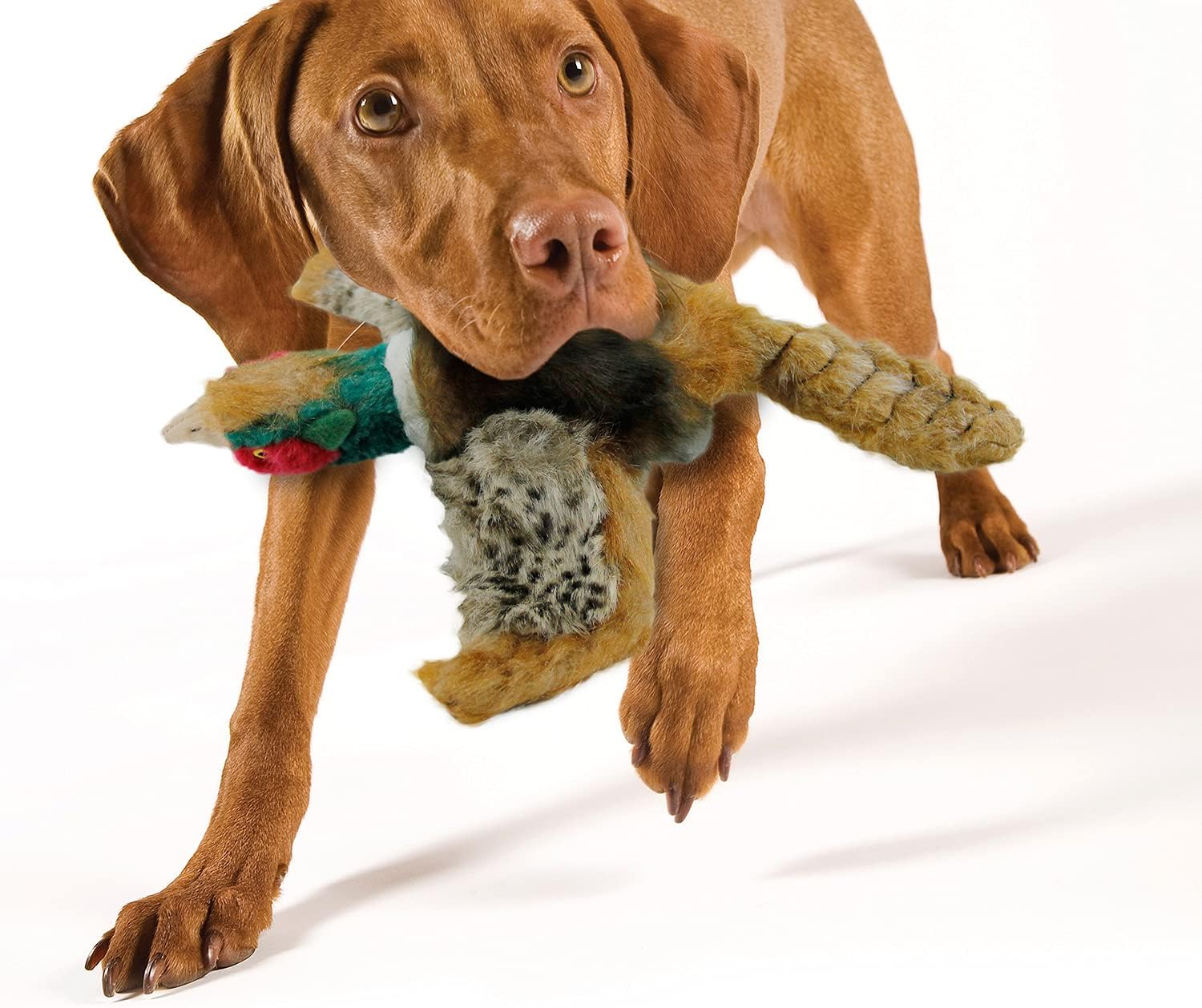 ALL FOR PAWS Classic Pheasant Pet Toys, Large