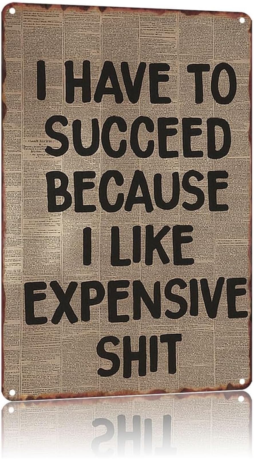 NWPNLXEA Humorous Quote Sign I Have To Succeed Because I Like Nice Things Retro Tin Sign for Office or Bar 8 X 12 in