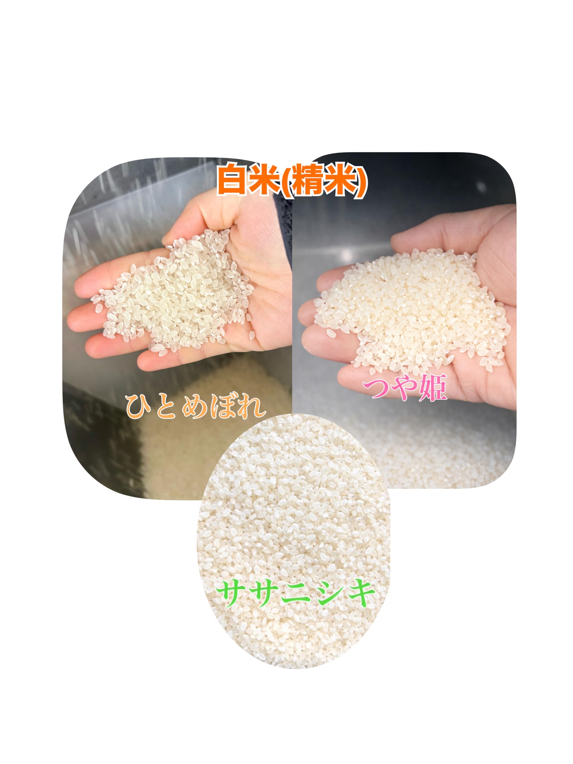 Amazon.co.jp: 食べ比べ米 令和7年宮城県登米市産ひとめぼれ
