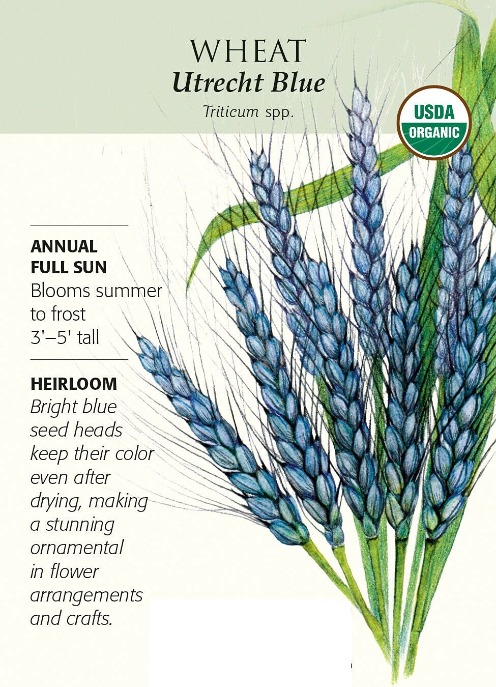 DIOART™ PUSA-445 Black Wheat Seeds | Triticum Aestivum (B0CKX88PWG) Amazon Price History, Amazon Price Tracker
