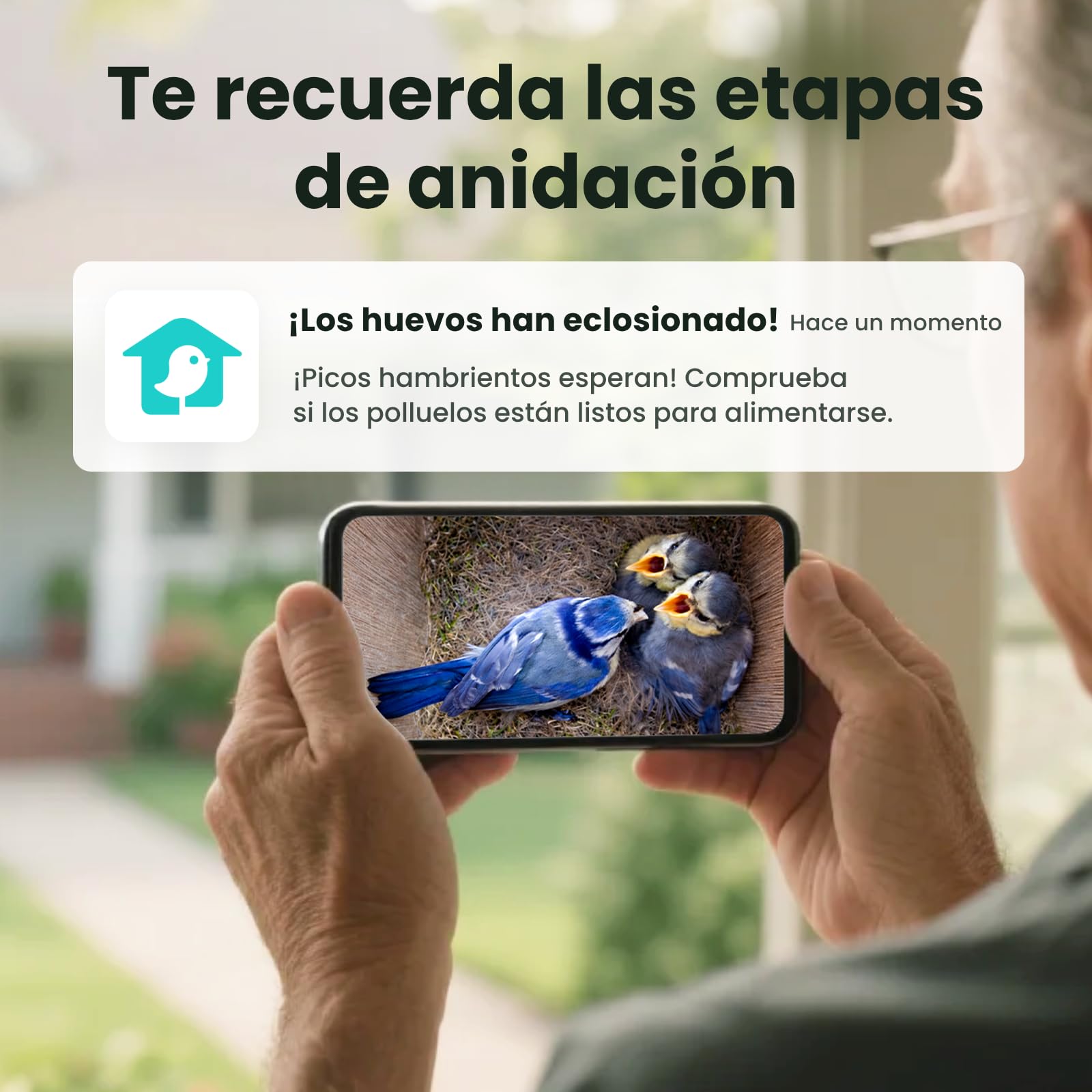 Birdfy Pajarera con cámara, nido con cámara, cámara de 2 millones de píxeles, para exteriores, observación en tiempo real de la construcción de nidos y cría de aves, detección de comportamiento de