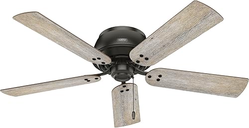Miniatura 26 de Hunter Fan Company 52380 Shady Grove - Ventilador de techo, color plateado mate Plateado mate,Mate negro,bronce