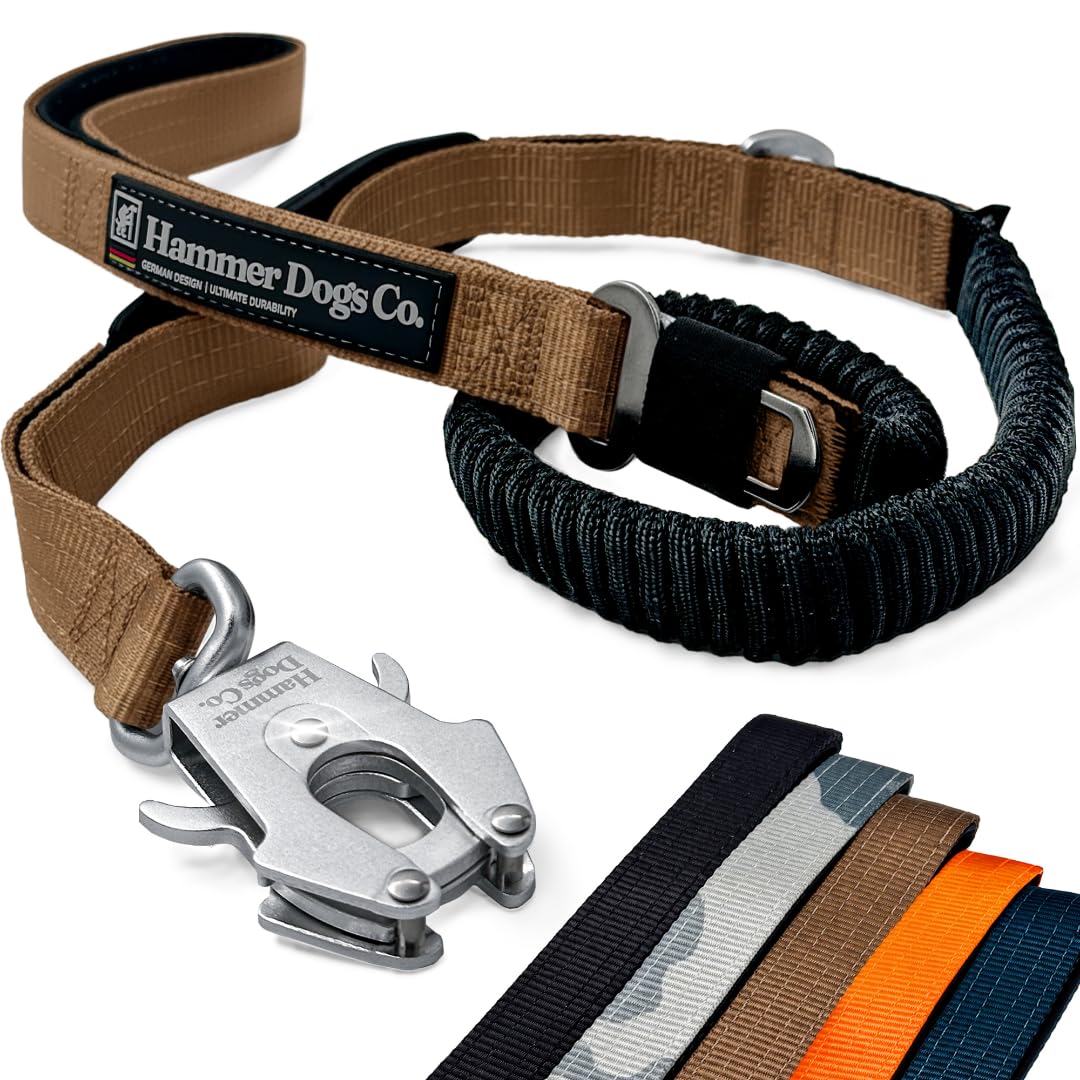 ShockLine - Correa Bungee Amortiguadora Antitirones, Anti Tirones, Resistente para Perros Medianos y Grandes, con Asa de Control y Mosquetón Tipo Rana (Arena)