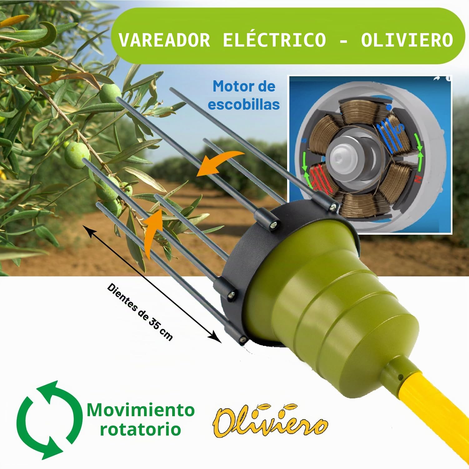 Crisalide® - Oliviero Synthesis - Vareador recogedor de aceitunas a batería de 12 V, barra fija de 2,5 m