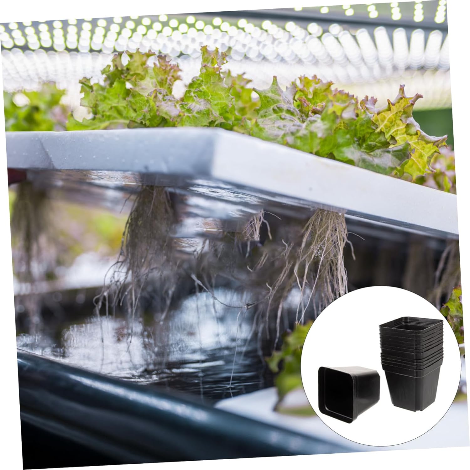 GANAZONO 120Pcs Black Square Plastic Nursery Pots with Drainage Holes Durable Seed Starter Planters for Indoor and Outdoor Gardening for Succulents and