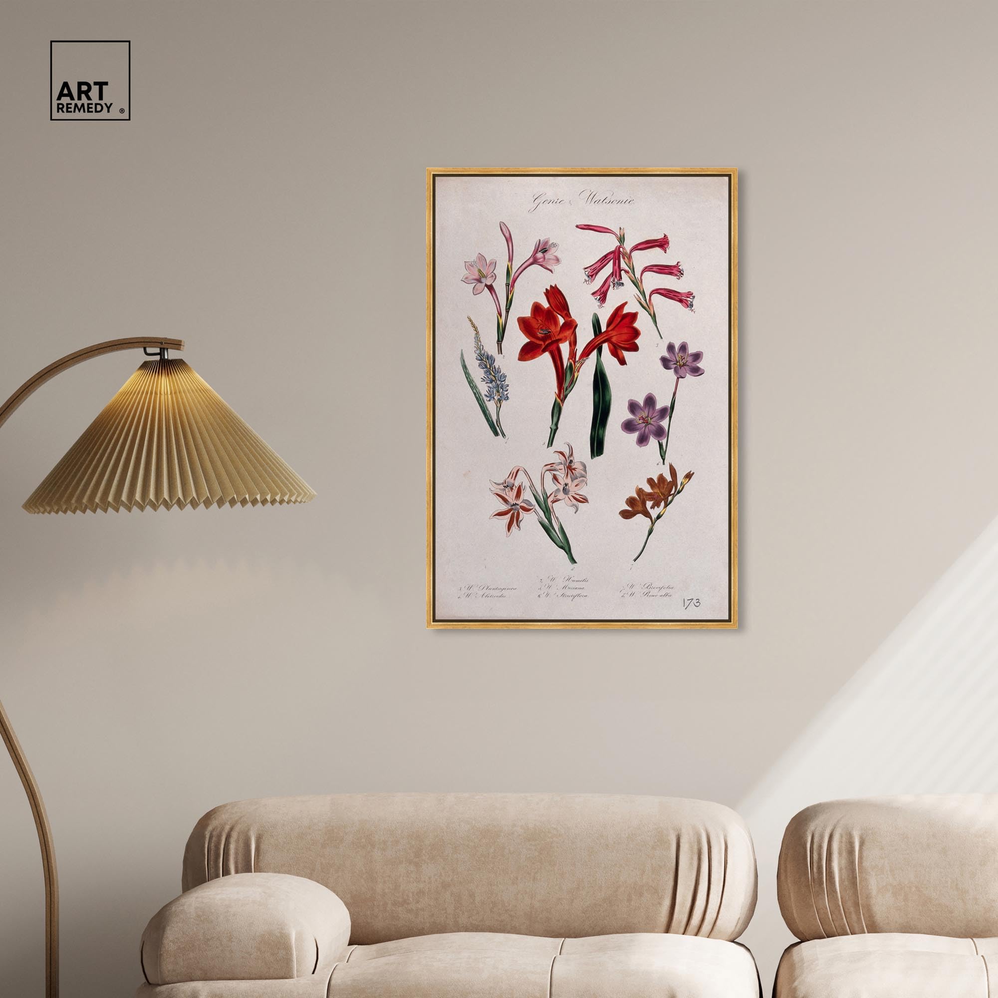 Amazon.com: Art Remedy Botanical Prints Canvas, 24