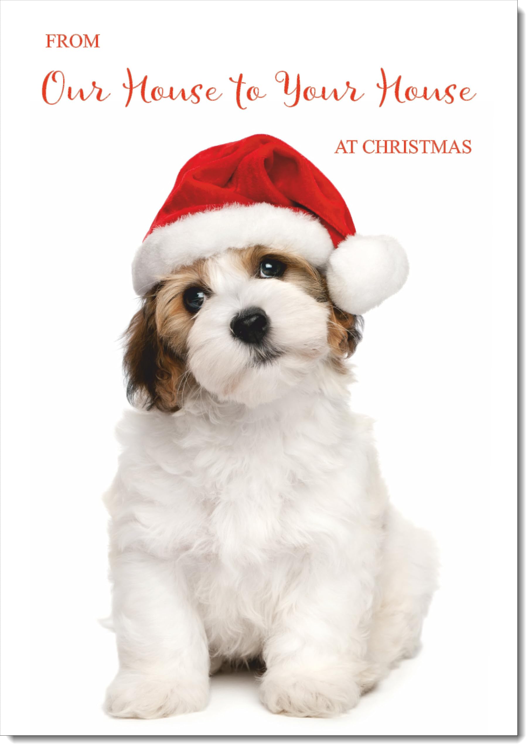 doodlecards House To House Christmas Card Dog and Santa Hat Large A4 Size Christmas Card for House To House with Plain Envelope