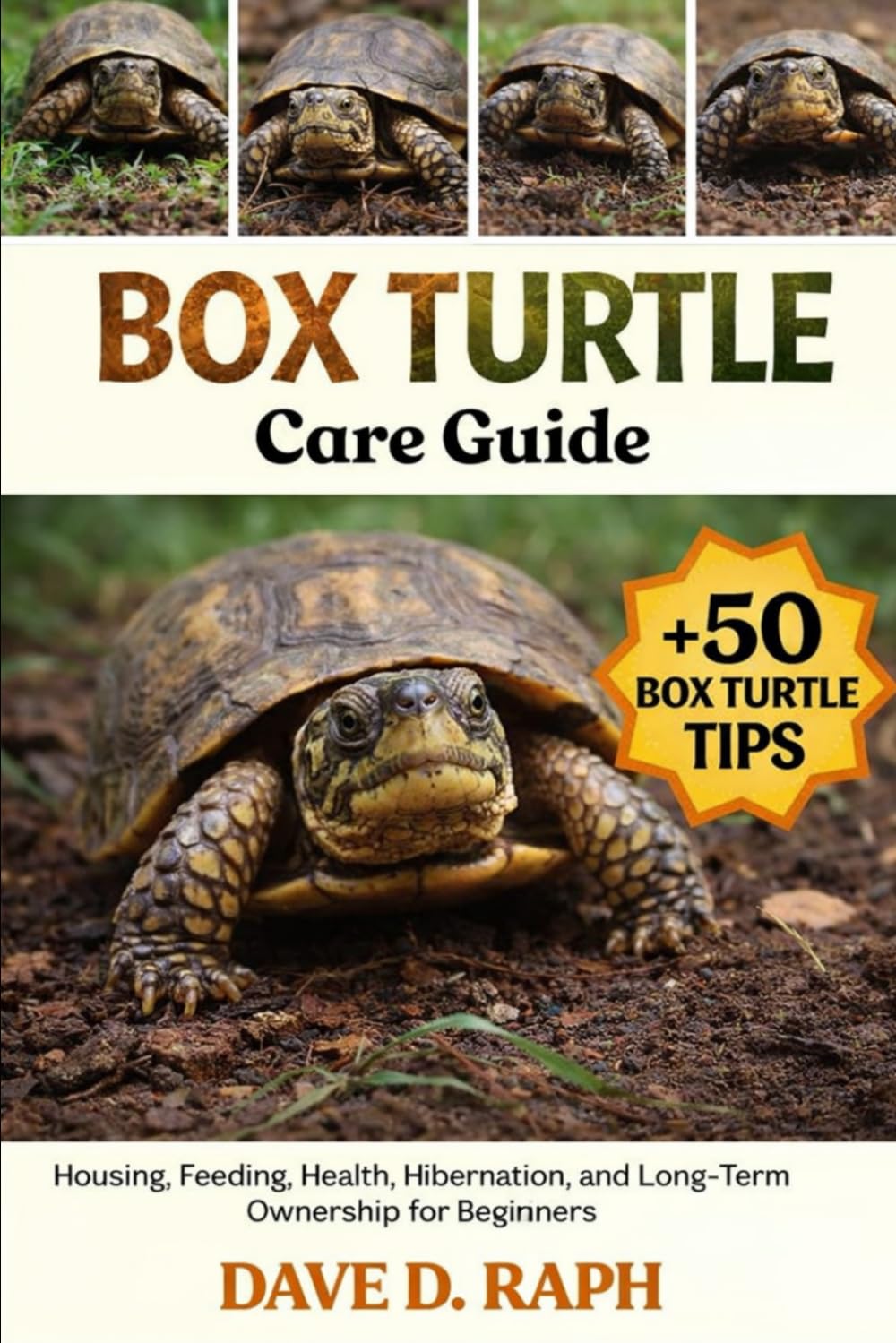 Box Turtle Care Guide: Housing, Feeding, Health, Hibernation, and Long-Term Ownership for Beginners
