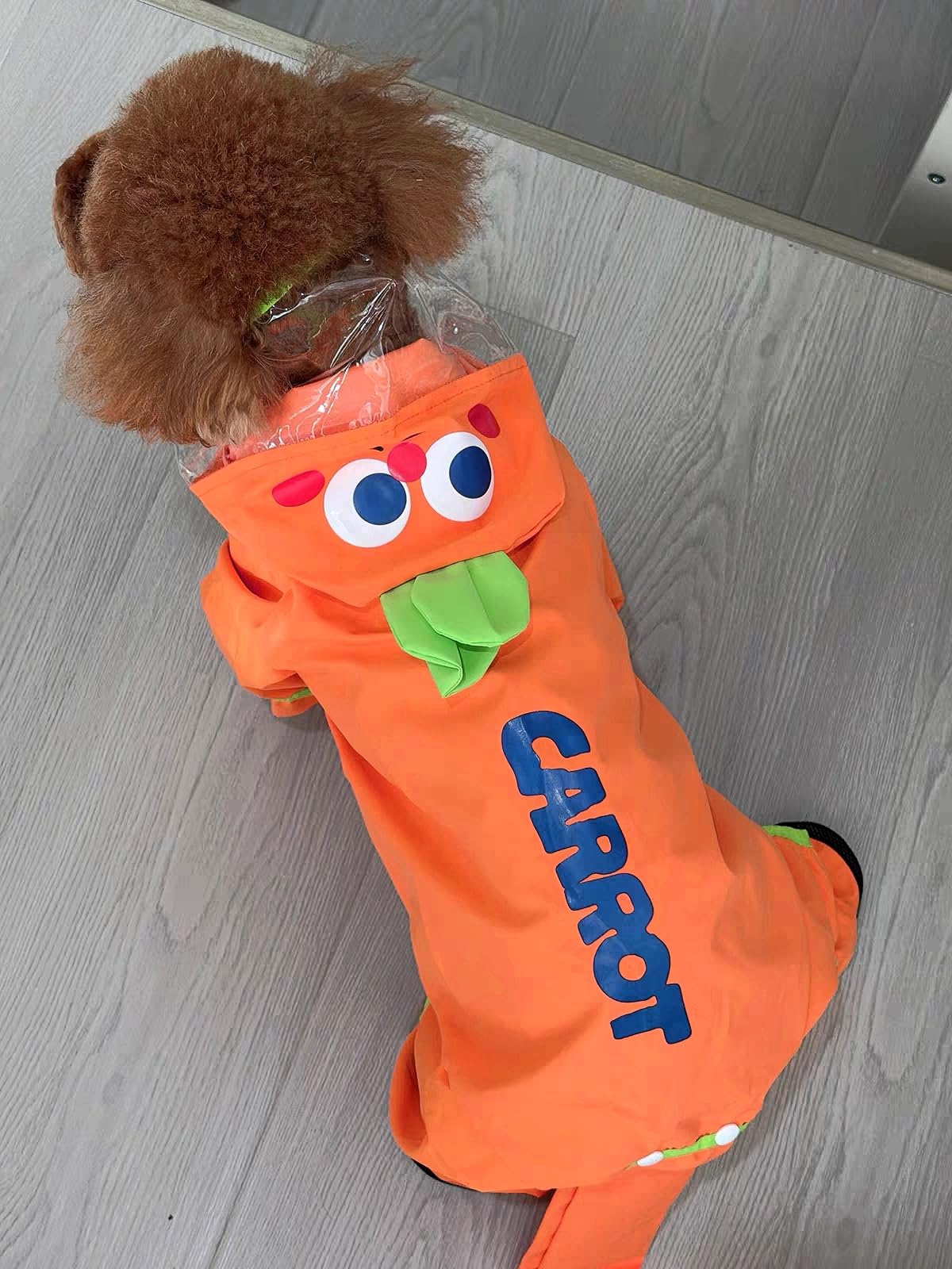 Manteau de pluie imperméable pour chien avec capuche, chaussures et queue amovibles, manteau de pluie avec sangle réfléchissante, veste de pluie légère avec trou pour laisse (carotte orange, taille M)