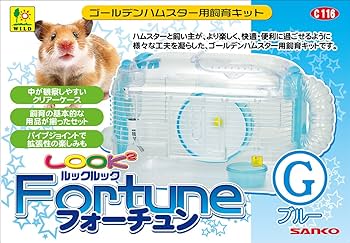 aki様 リクエスト 3点 まとめ商品 adidas TERREX SKYCHASER GORE-TEX｜BILLY'S ENT 公式通販