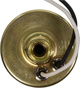 Carter Electric Fuel Pump 12V Automotive Replacement Compatible with Passenger Car and Light Truck (P74021)