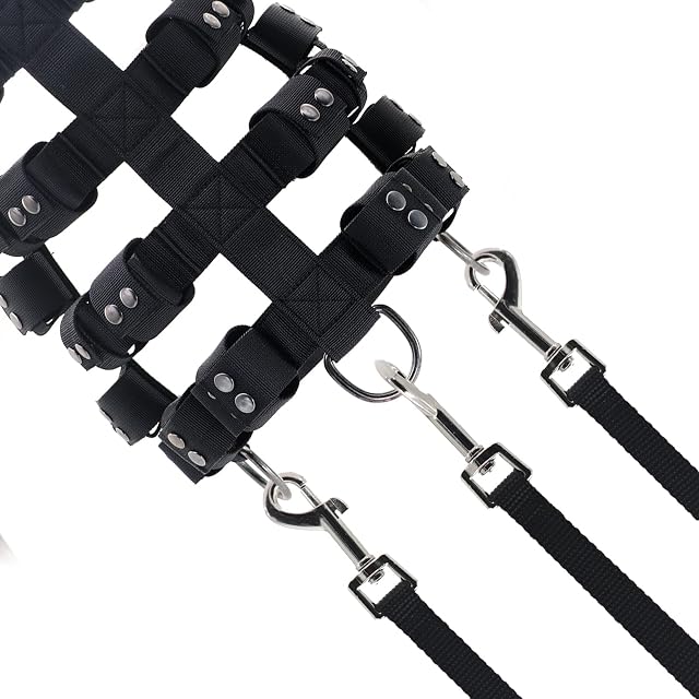 Foto 5 de 8 de Walktime Arnés táctico para Perros pequeños, medianos y Grandes, sin tirones, con Bolsillos (Pesos Ajustables)