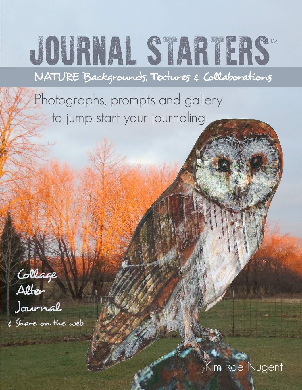 Journal Starters: Nature Backgrounds, Textures and Collaborations