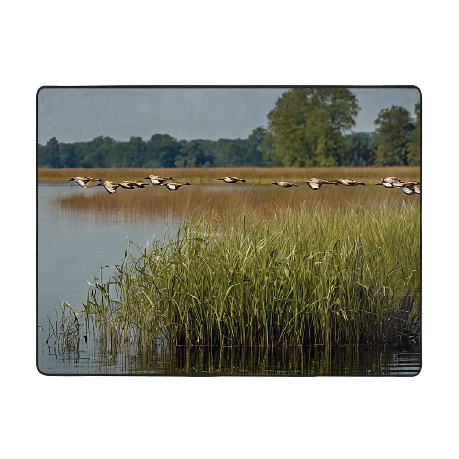 Tapis antidérapant salon chambre grand format, tapis moderne doux 160 x 121,9 cm
