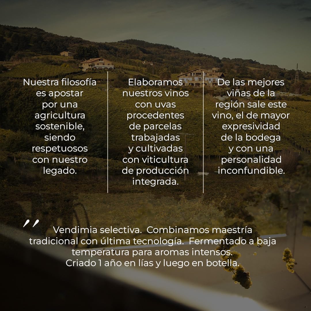 Aitako 2024 – Vino Blanco D.O. Getariako Txakolina – Selección Especial de Viñedos Viejos – 6 Botellas 75cl – Fresco, Mineral y Elegante – Edición Limitada Ideal para Mariscos,Gaintza txakolina