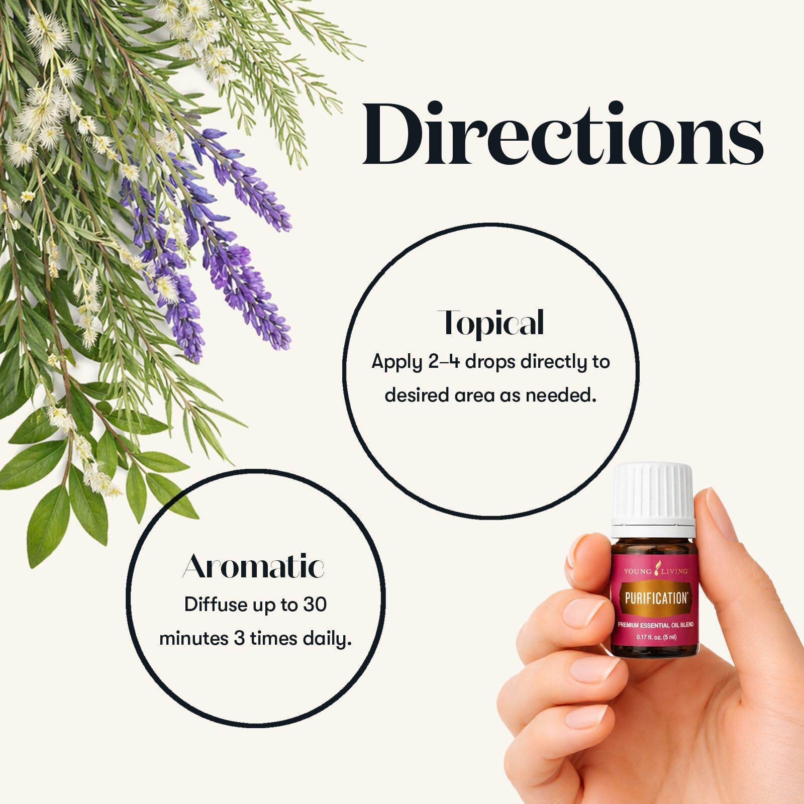 Amazon.com: Young Living Purification Essential Oil, 5ml