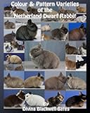 Colour & Pattern Varieties of the Netherland Dwarf Rabbit