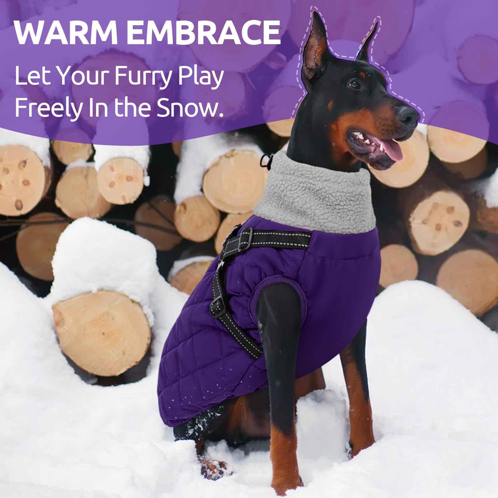 Queenmore Hundemantel Winter Hundejacke Kleine Hunde Wasserdicht