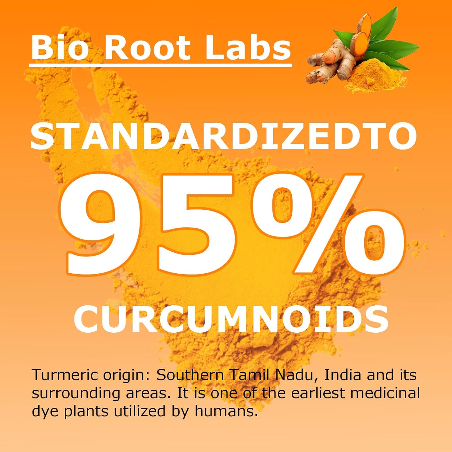 Turmeric Curcumin Supplement,Bioroot Labs Turmeric Curcumin Supplement 1,000mg – 95% Curcuminoids with Black Pepper & Ginger,Fat Soluble Vitamin C,Enhanced Absorption,120 Capsules (1PCS)