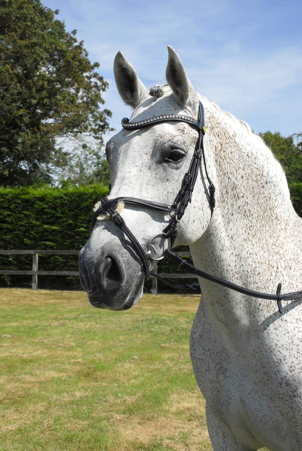 RhinegoldItalian Leather Anatomical Horse Bridle with Mexican Noseband