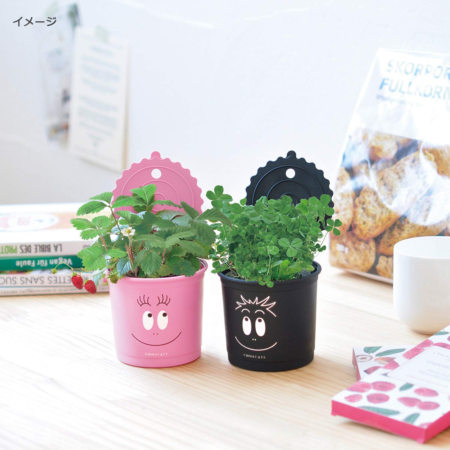 Amazon.co.jp: 聖新陶芸 バーバパパ スマイルカン栽培セット ワイルド 
