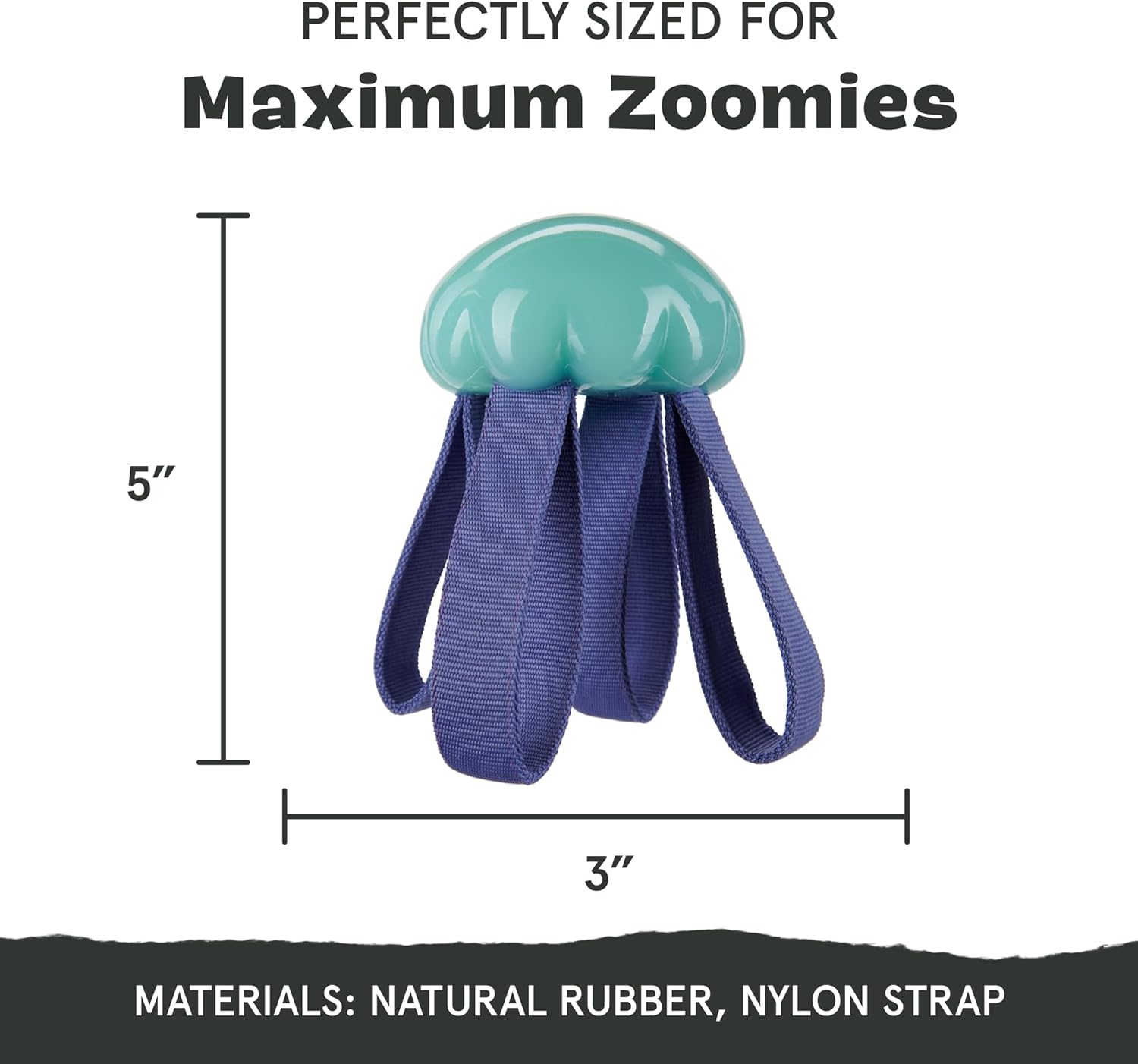 Barkbox Jelly Fetch Dog Toy 中型犬 &ndash; 引っ張ったりフェッチしたりするのに最適、丈夫なナイロンストラップ