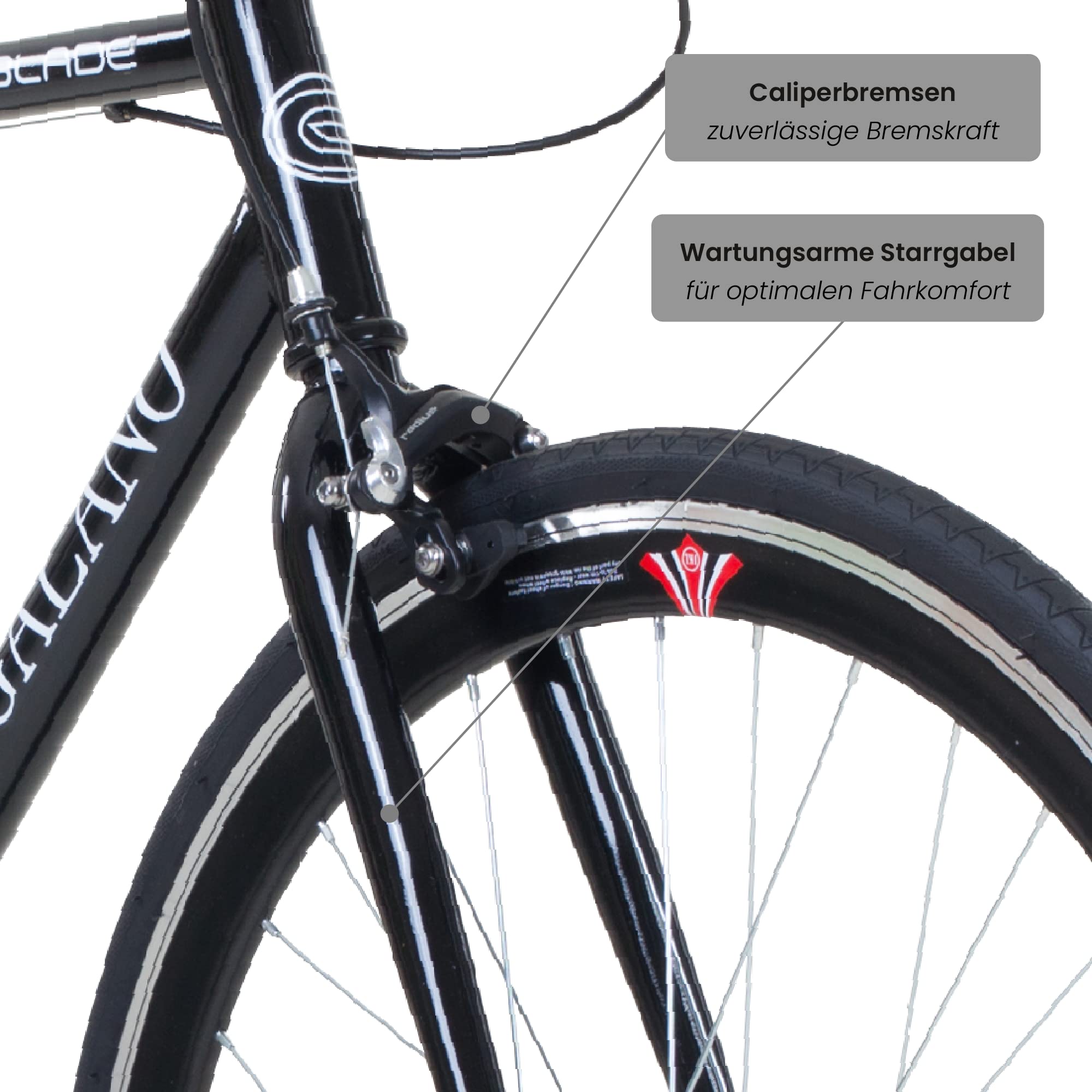 Galano Blade Fixie Bike für Damen und Herren 165-195 cm Singlespeed Fahrrad Retro 28 Zoll viele Größen Urban Bikes mit Flipflop Nabe Rennrad City