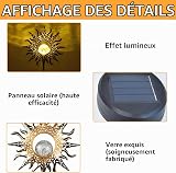 DAZZTIME Lampe Solaire Extérieur Jardin, Lampes Solaires d'Extérieur, Décoration de Jardin, pour Pelouse, Cour, Chemin, Terrasse, Balcon - 3