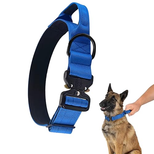 Collar táctico para perro (azul, L)