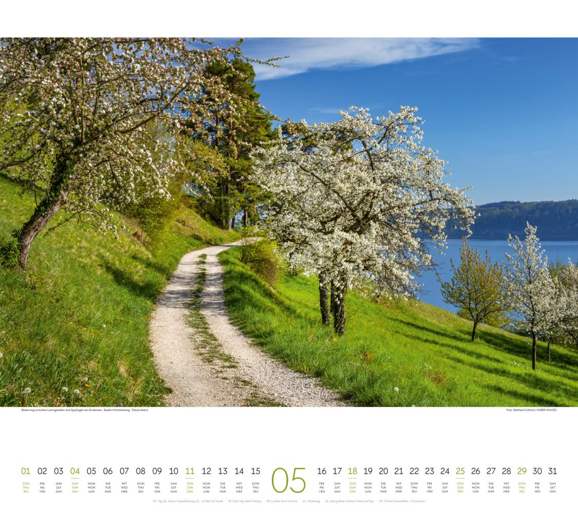 Wege Kalender 2025, Wandkalender im Querformat (54x48 cm) - Landschaftskalender mit traumhaften Pfaden in der Natur
