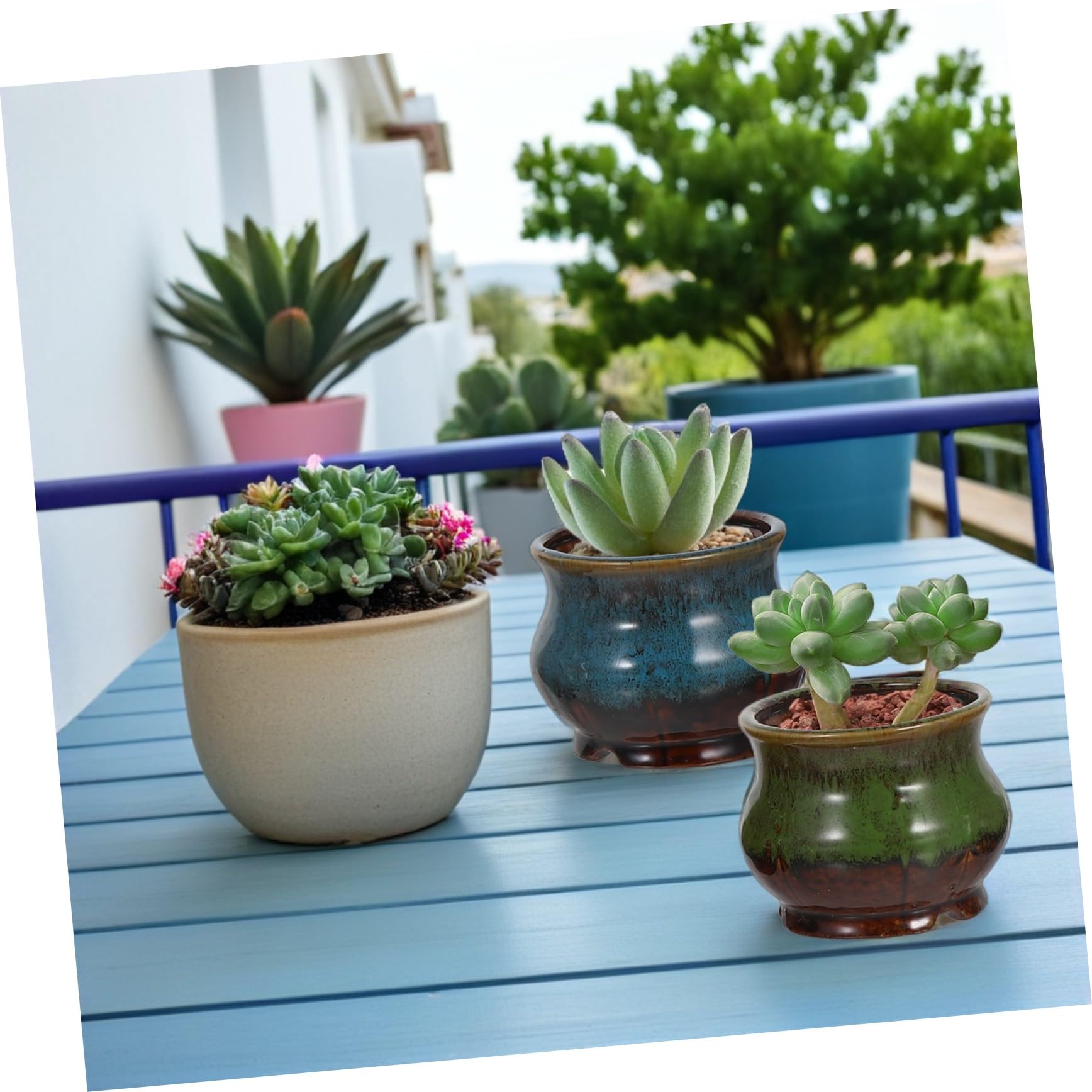5 Sztuk Ceramicznych Szkliwionych Doniczek Na Kwiaty Miniaturowe Ceramiczne Doniczki Na Kwiaty Doniczka Ceramiczna Kolorowa Dekoracyjna Ceramiczna Doniczka Ręcznie Robiona